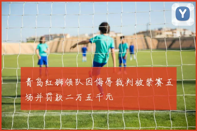 青岛红狮领队因侮辱裁判被禁赛五场并罚款二万五千元